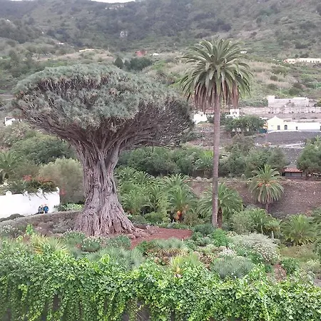 Tulipan Lägenhet Icod De Los Vinos